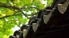 滴水、花邊和屋脊